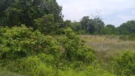 Land for sale in Kampung Ketapang Tengah, Pahang