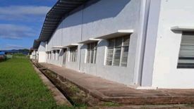 Warehouse / Factory for Sale or Rent in Binjai, Terengganu