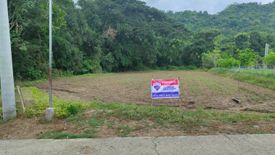 Land for sale in Cabisilan, La Union