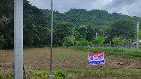 Land for sale in Cabisilan, La Union