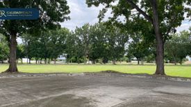 Land for sale in Bungahan, Laguna