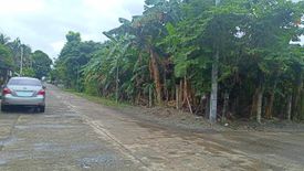 Land for sale in Macañao, Isabela