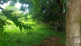 Land for sale in Macañao, Isabela