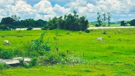 Land for sale in Tanaytay, Pangasinan