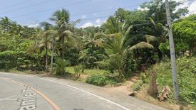 Land for sale in Dianawan, Aurora