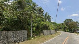 Land for sale in Dianawan, Aurora