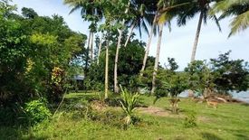 Land for sale in Aporawan, Palawan