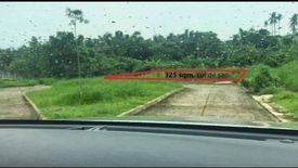 Land for sale in Lewin, Laguna