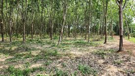 Land for sale in Thung Khwai Kin, Rayong