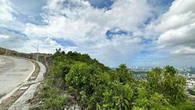 Land for sale in Luz, Cebu