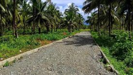 Land for sale in Calabuanan, Aurora