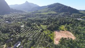 Land for sale in Nong Thale, Krabi