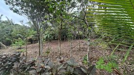 Land for sale in Pilar, Metro Manila