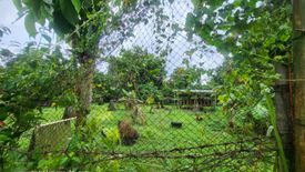 Land for sale in Manga, Bohol