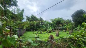 Land for sale in Manga, Bohol