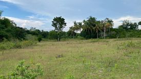 Land for sale in Tinago, Bohol