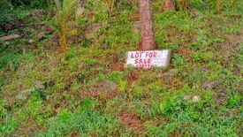 Land for sale in San Mateo, Surigao del Norte