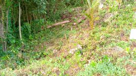 Land for sale in San Mateo, Surigao del Norte