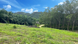 Land for sale in Khuekkhak, Phang Nga