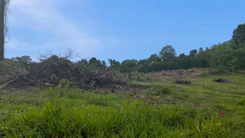 Land for sale in Khuekkhak, Phang Nga