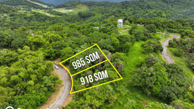 Land for sale in Eastland Heights, Bagong Nayon, Rizal