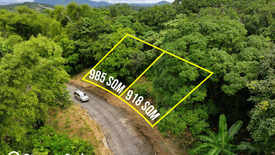 Land for sale in Eastland Heights, Bagong Nayon, Rizal