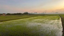 ขายที่ดิน ใน บ้านถ่อน, ท่าบ่อ