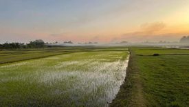 ขายที่ดิน ใน บ้านถ่อน, ท่าบ่อ