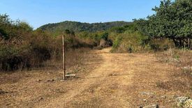 Land for sale in San Jose, Pangasinan