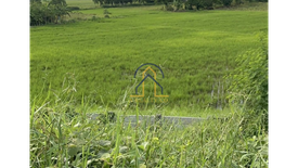 Land for sale in Concepcion, Nueva Ecija