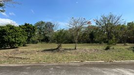 Land for sale in Don Jose, Laguna