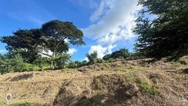 Land for sale in The Racha Mansions, Inchican, Cavite