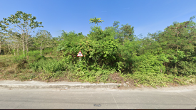 Land for sale in Bool, Bohol