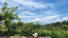 Land for sale in Bulacao, Cebu