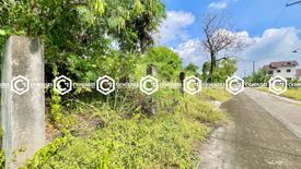 Land for sale in San Isidro, Pampanga