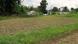 Land for sale in Mae Rai, Chiang Rai