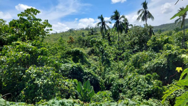 Land for sale in San Miguel, Palawan