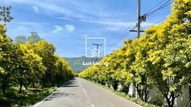 Land for sale in Bu Fai, Prachin Buri