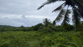 Land for sale in Sulangan, Eastern Samar