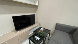 1 Bedroom Condo for rent in The ACE Ekamai, Khlong Tan Nuea, Bangkok near BTS Ekkamai