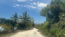 Land for sale in Giloctog, Cebu