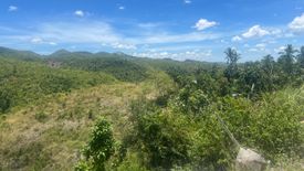 Land for sale in Giloctog, Cebu