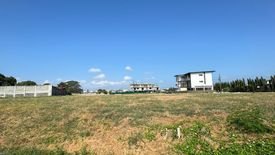 Land for sale in Almanza Dos, Metro Manila