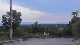 Land for sale in Perrelos, Cebu