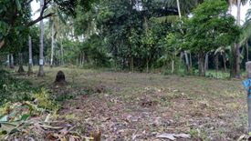 Land for sale in Bong-Ao, Negros Oriental