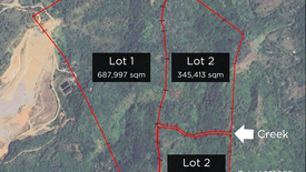 Land for sale in Pintong Bocawe, Rizal