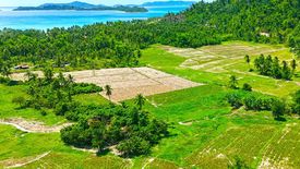 Land for sale in Port Barton, Palawan