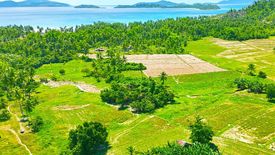 Land for sale in Port Barton, Palawan