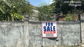 Land for sale in Gordon Heights, Zambales