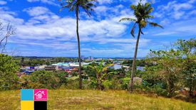 Land for sale in Talamban, Cebu